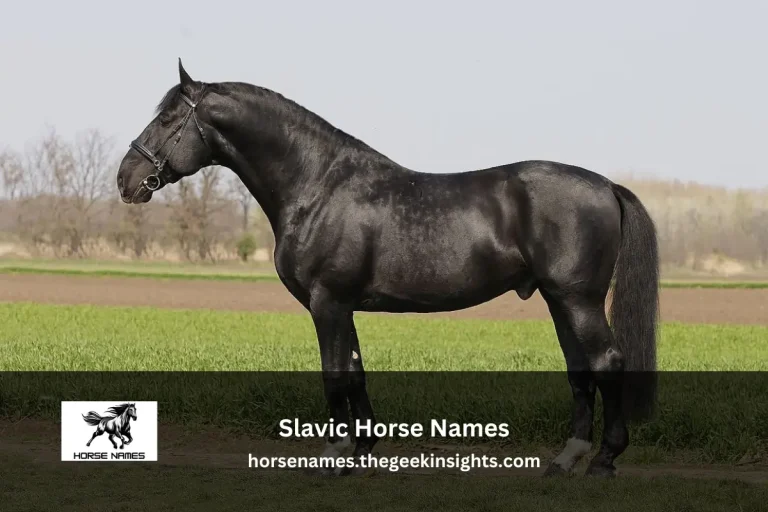 Slavic Horse Names (Polish, Czech, Slovak, etc.)