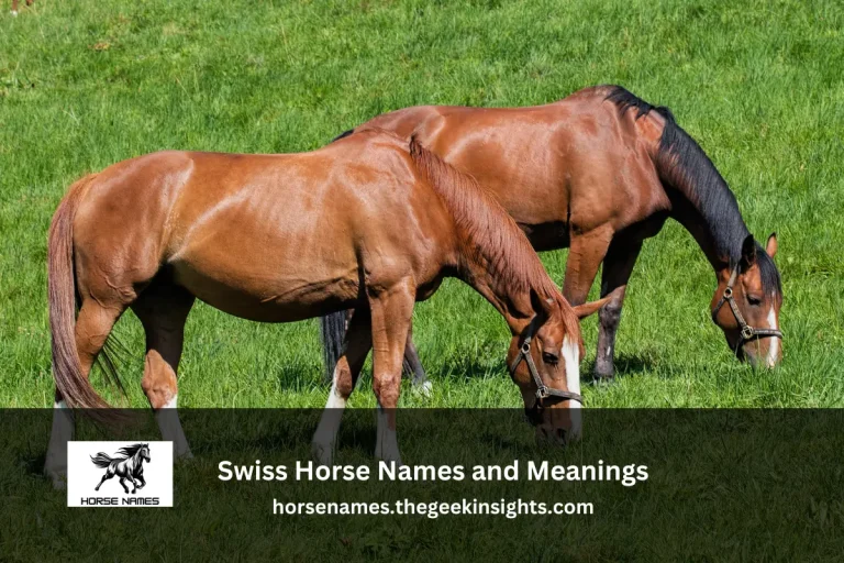 Swiss Horse Names and Meanings