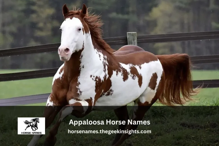 Appaloosa Horse Names