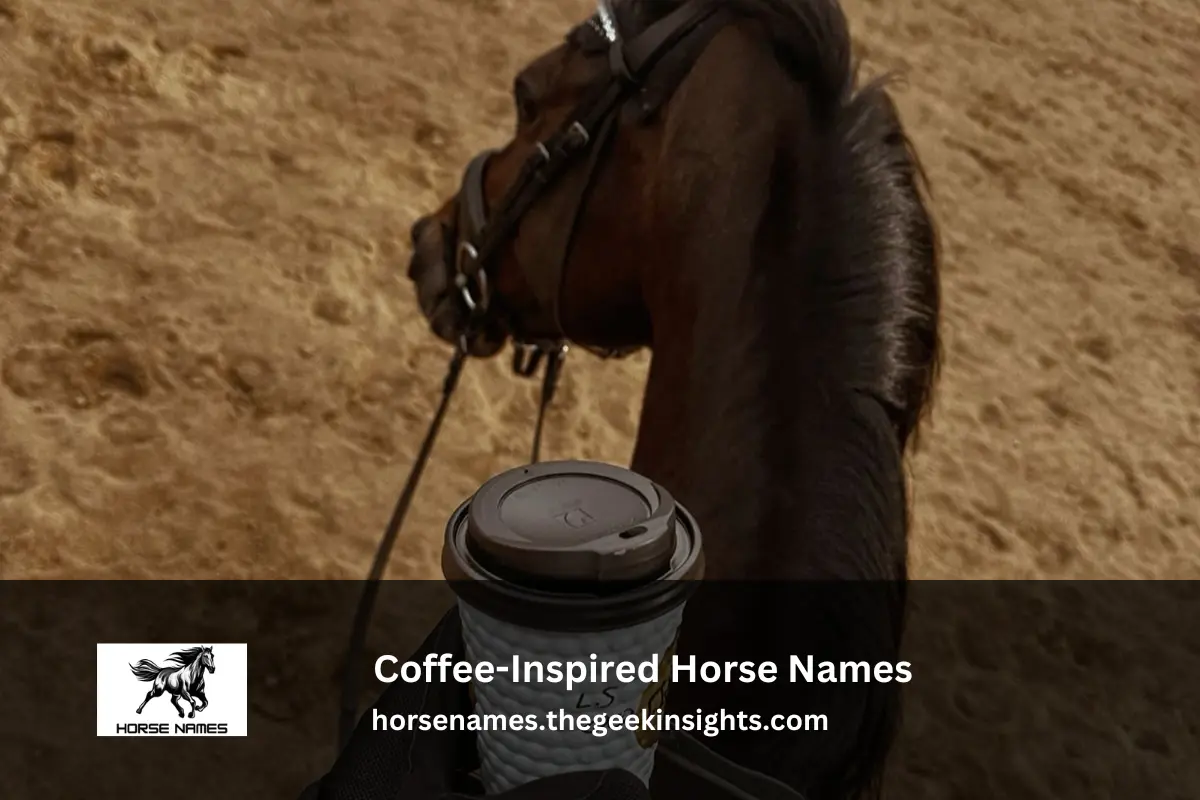 Coffee-Inspired Horse Names