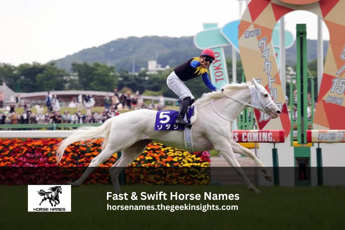 Fast & Swift Horse Names