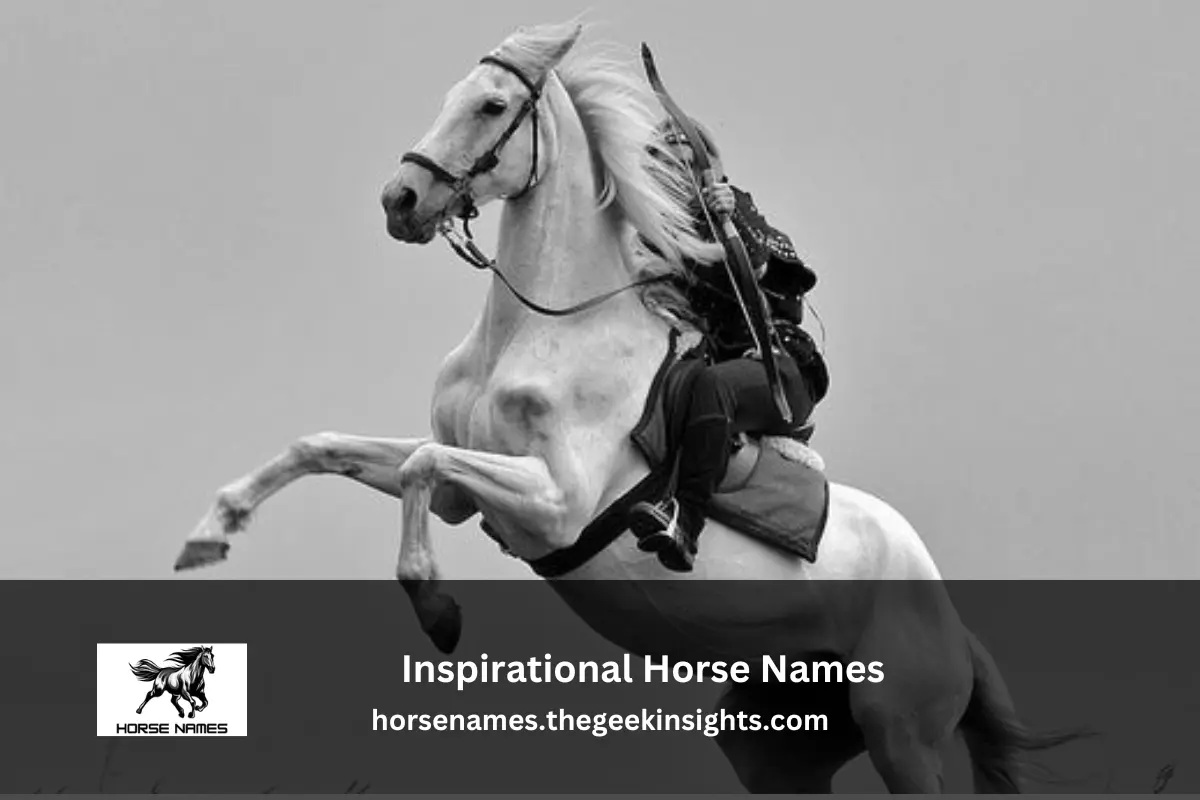 Inspirational Horse Names
