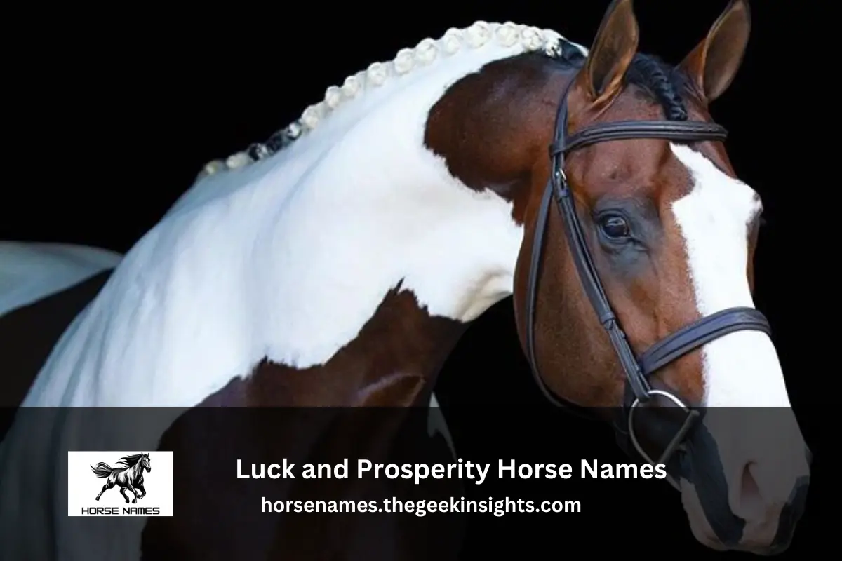 Luck and Prosperity Horse Names