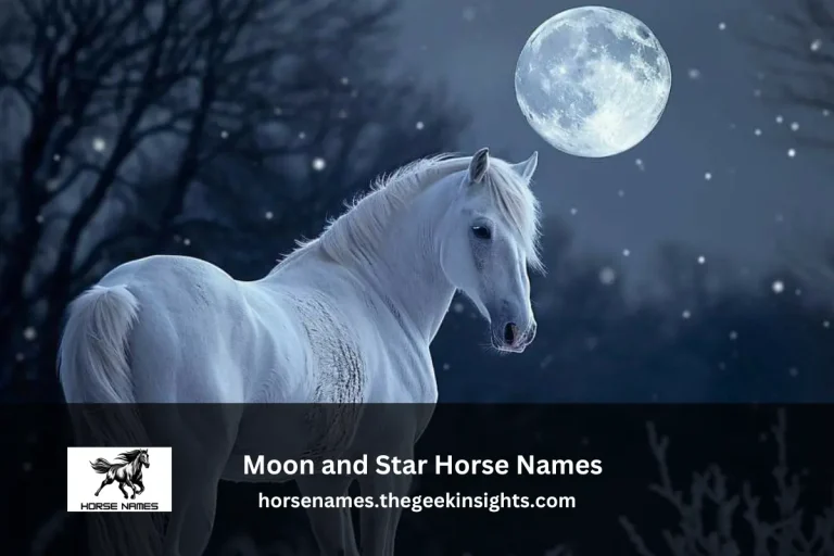 Moon and Star Horse Names