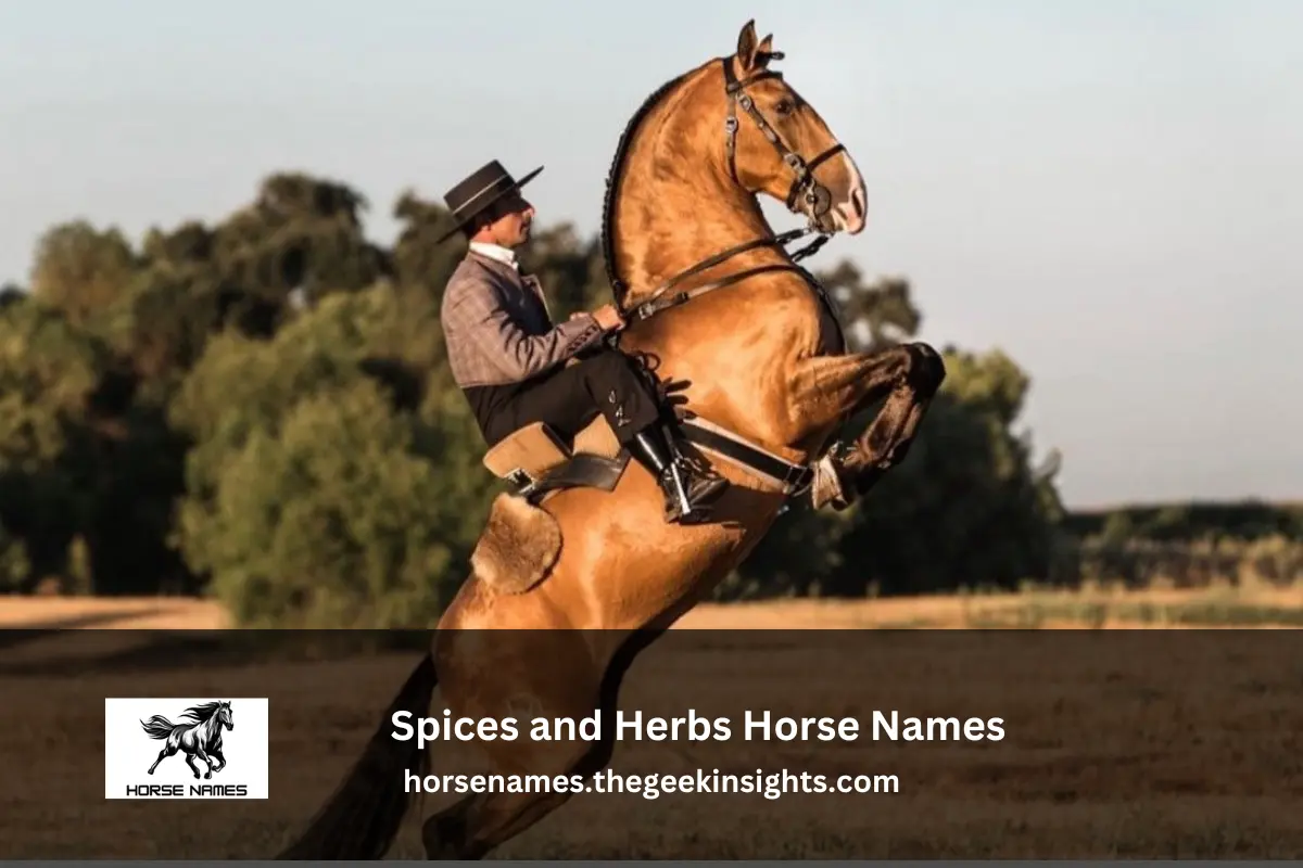 Spices and Herbs Horse Names