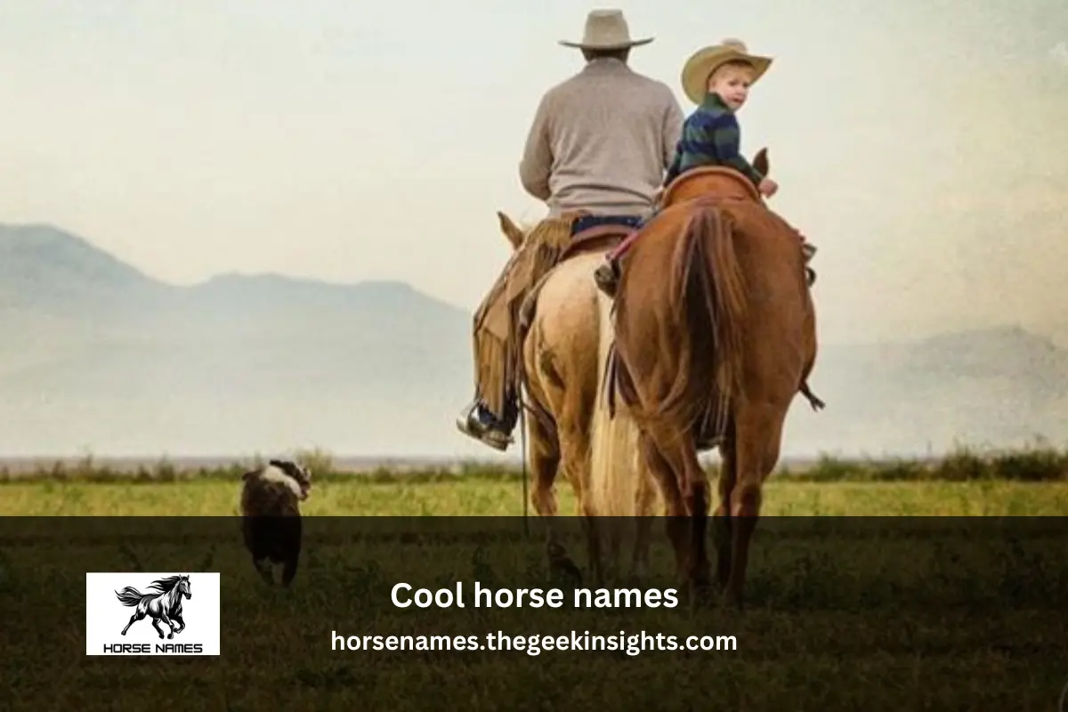 Cool horse names