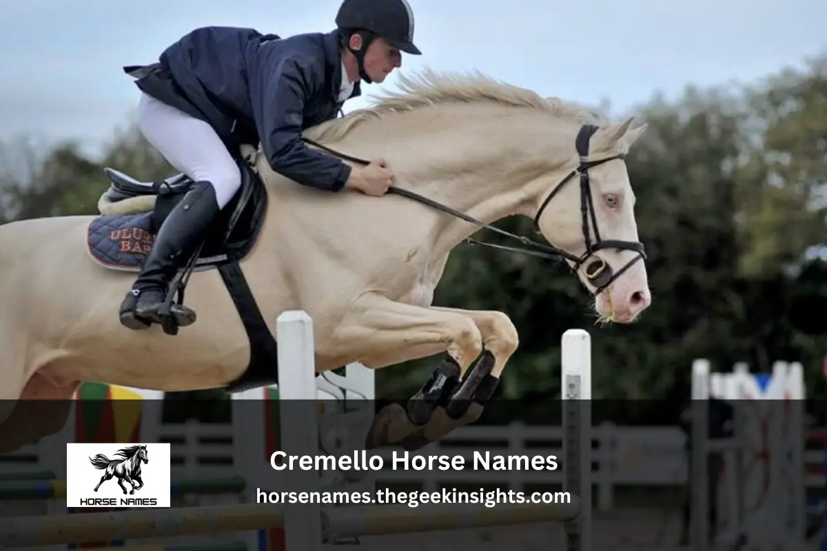 Cremello Horse Names