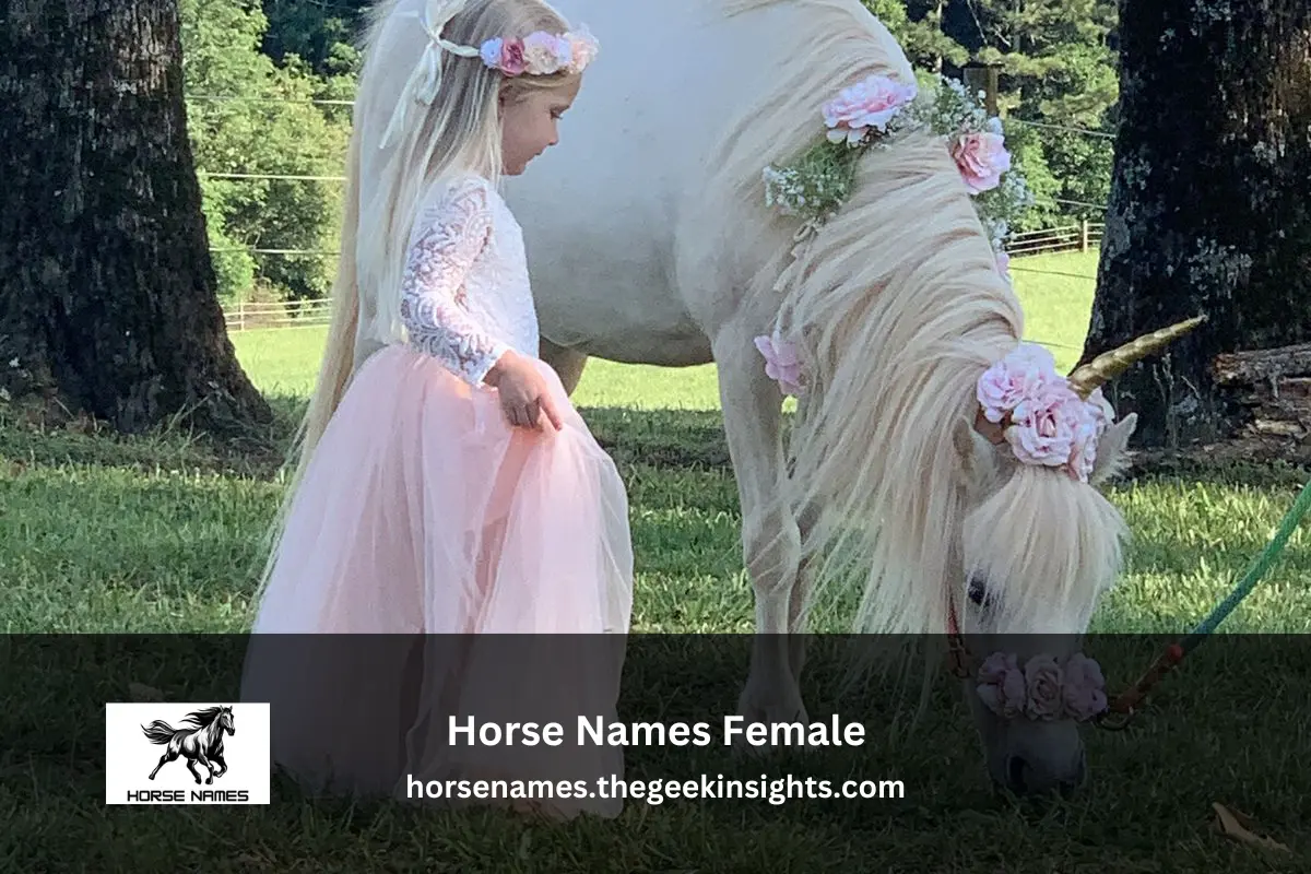 Horse Names Female