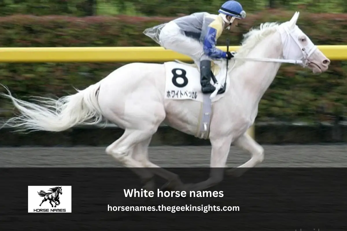 White horse names