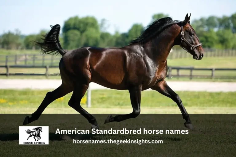 American Standardbred horse names