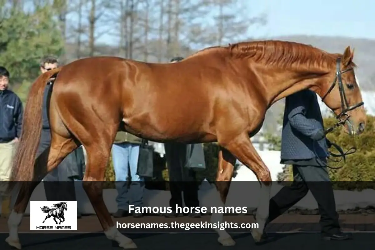 Famous horse names