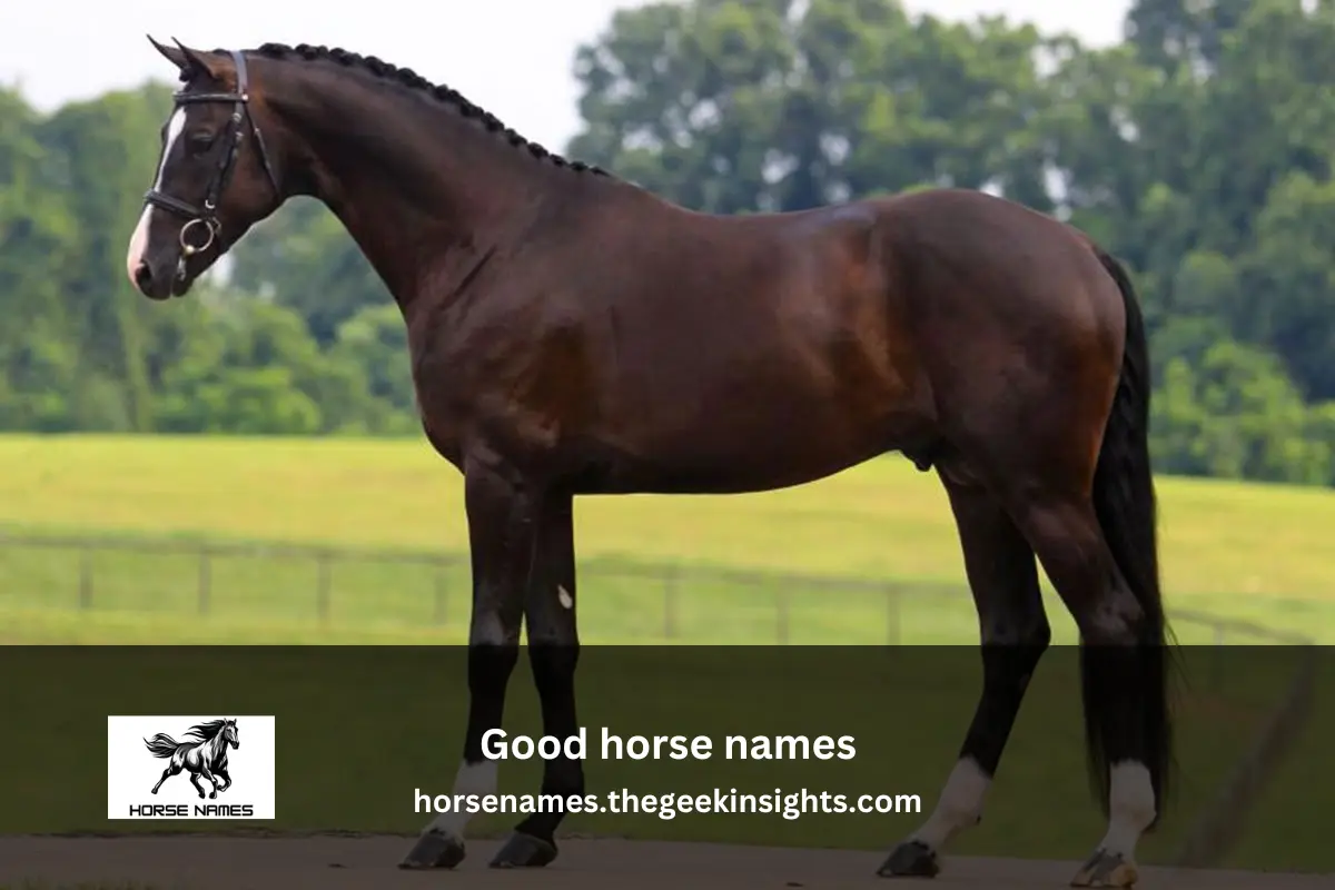 Good horse names