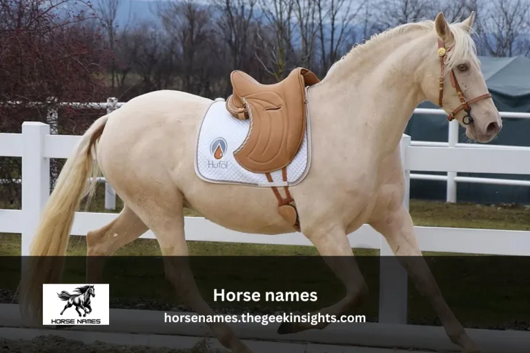 Horse names