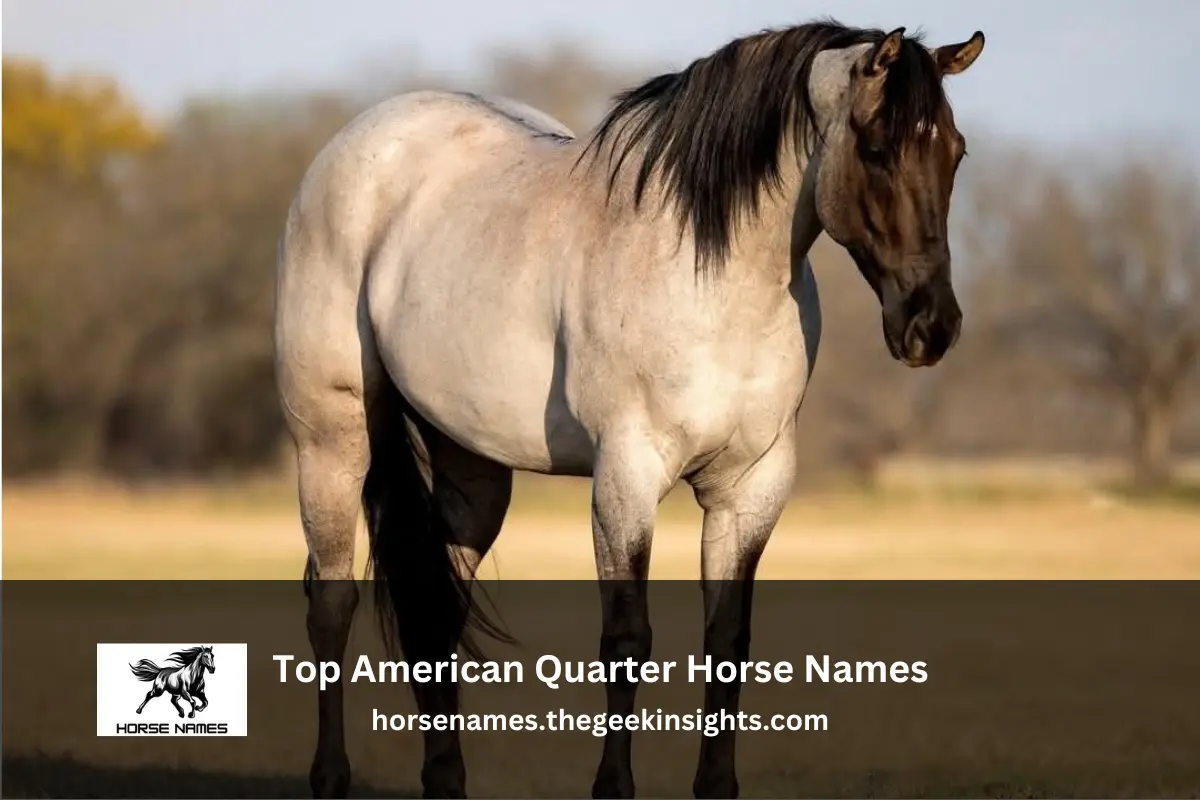 Top American Quarter Horse Names
