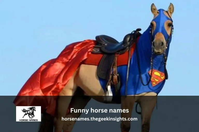 funny horse names