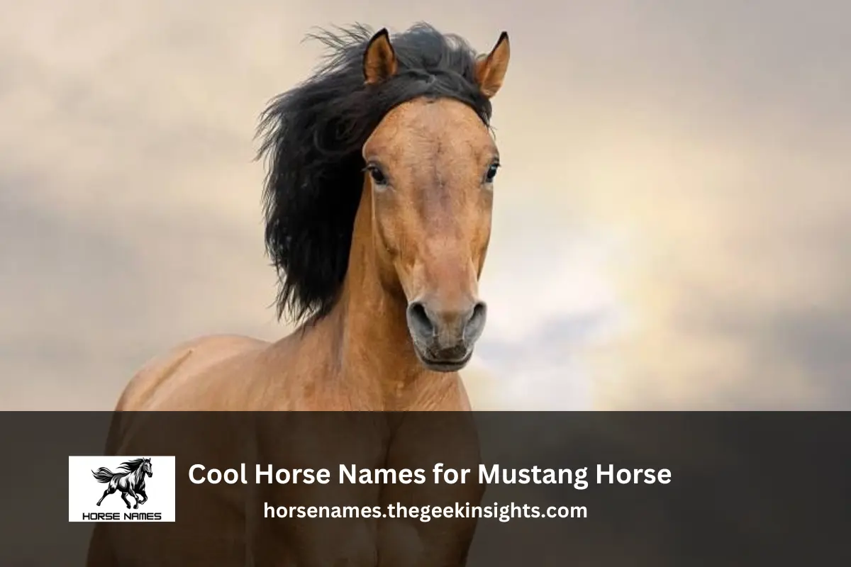 Cool Horse Names for Mustang Horse