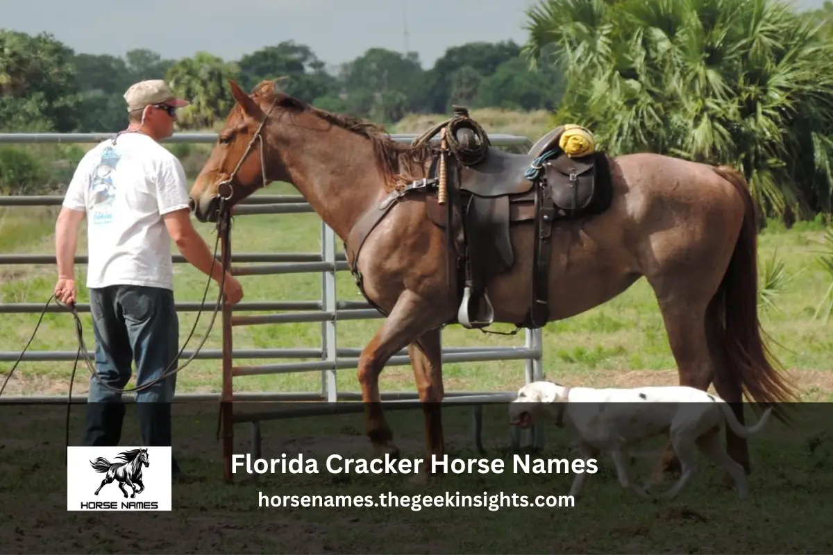 Florida Cracker Horse Names