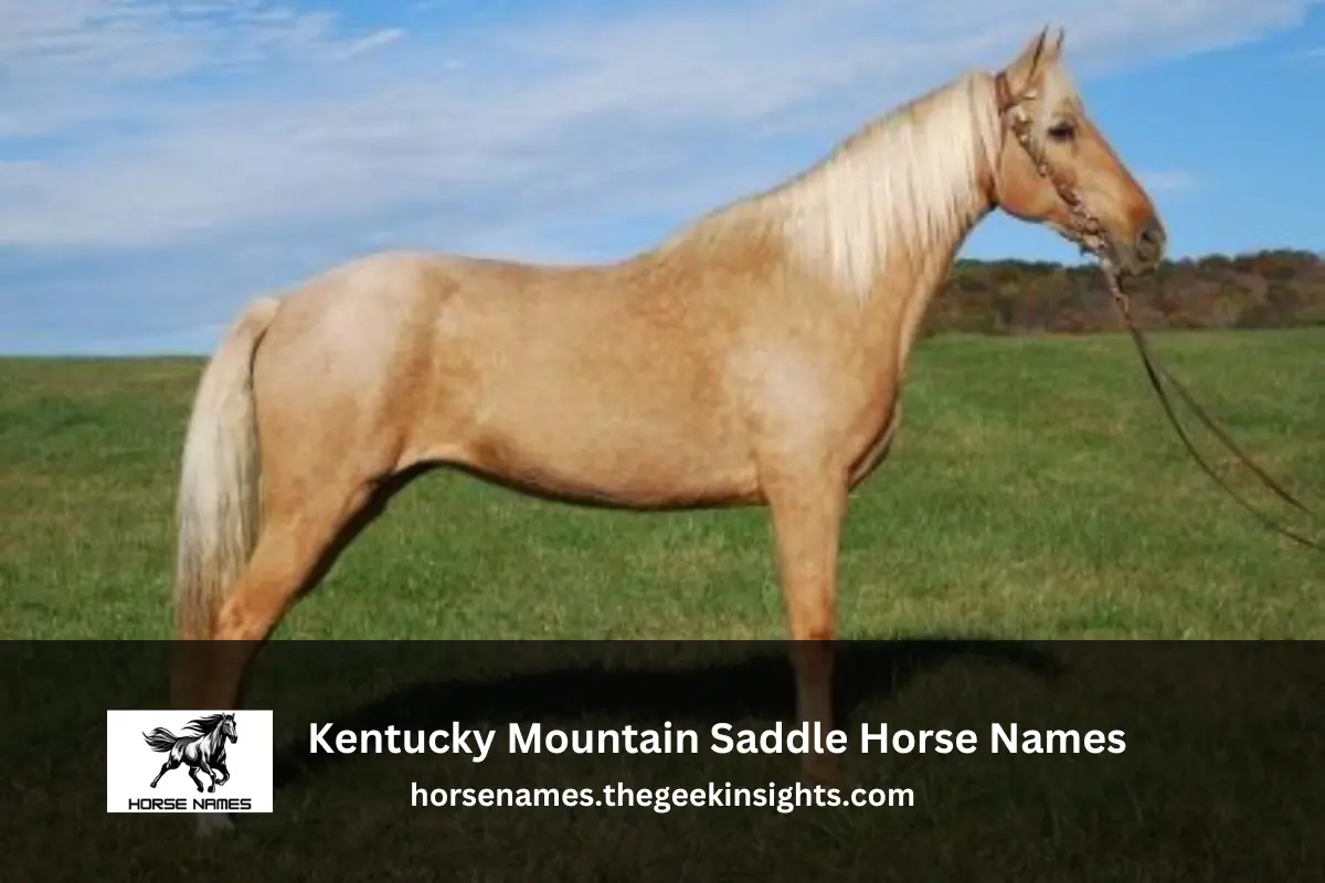 Kentucky Mountain Saddle Horse Names