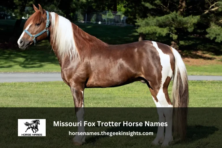 Missouri Fox Trotter Horse Names
