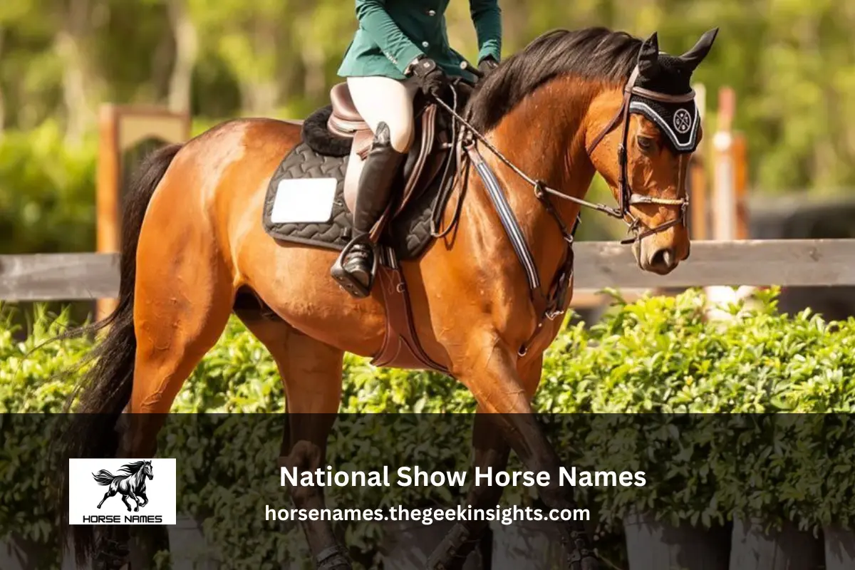 National Show Horse Names