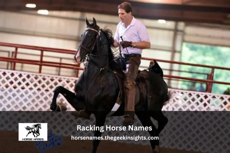 Racking Horse Names
