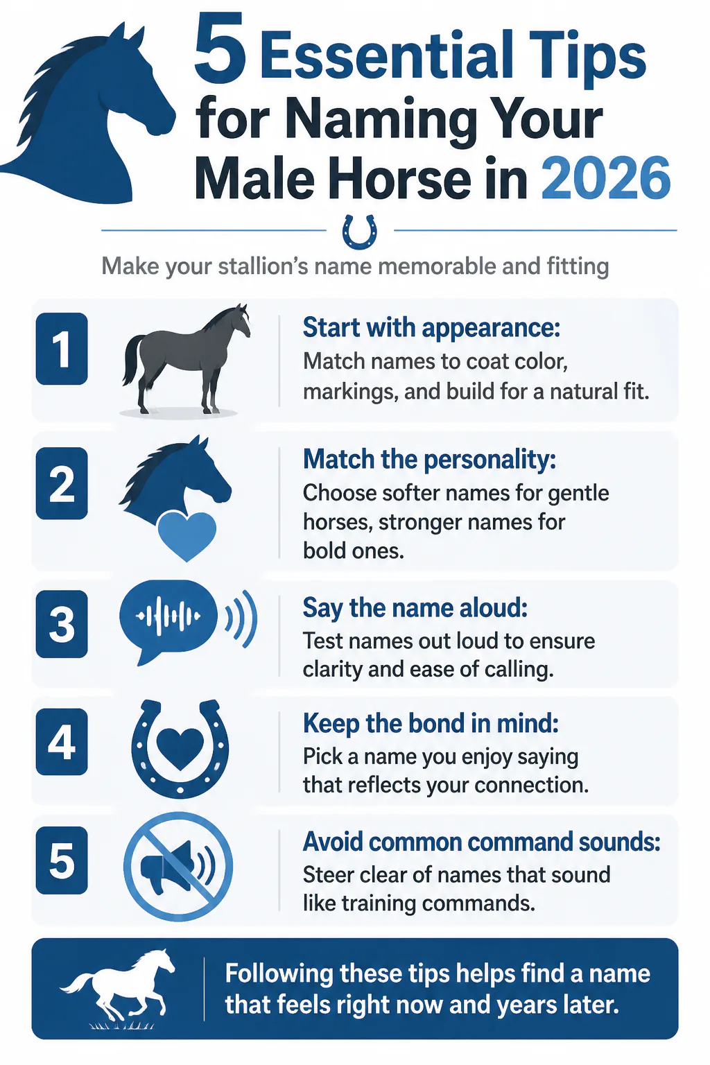 5 Essential Tips for Naming Your Male Horse in 2026