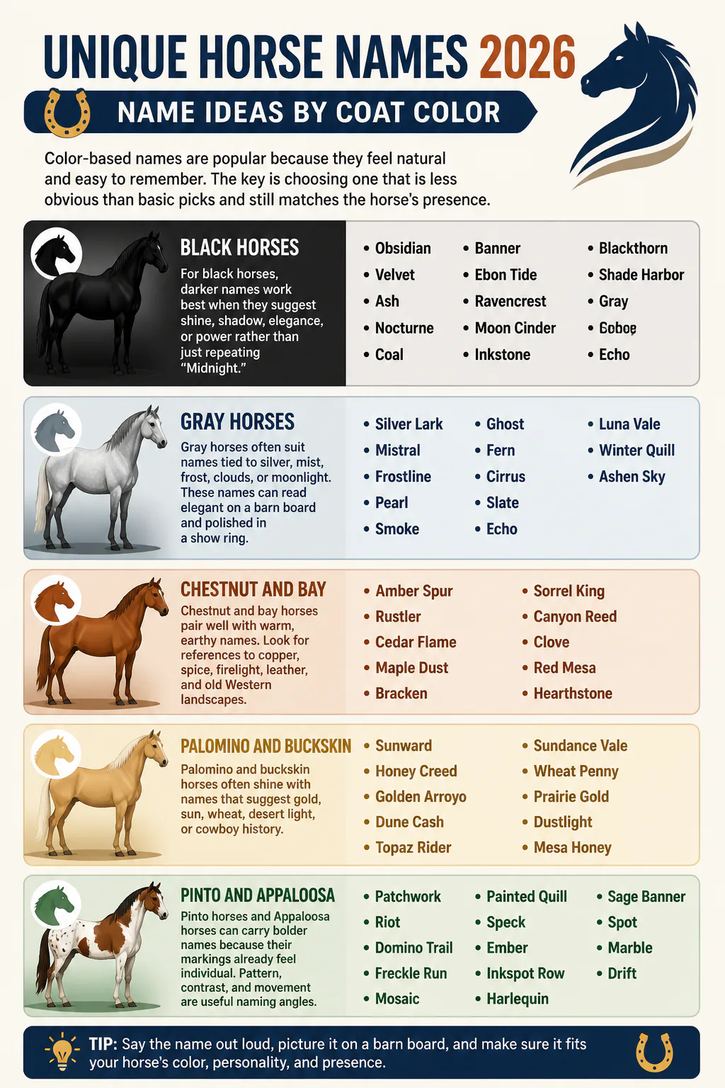 Horse name ideas by coat color infographic