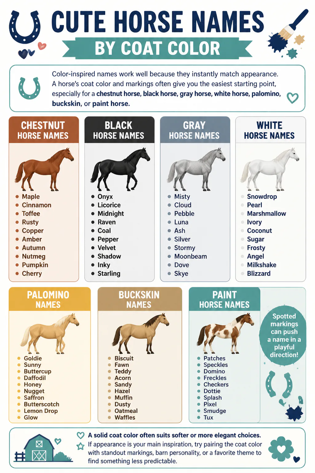 Horse name ideas by coat color infographic
