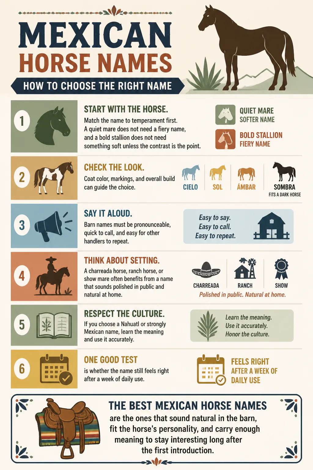 Infographic about choosing Mexican horse names